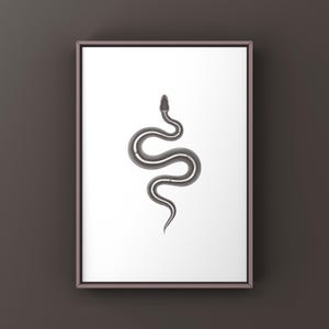 Black Pastel Mystic Potion Ball Python Python regius art print by The Morph Archive, ball python morph illustration by Mingo X.