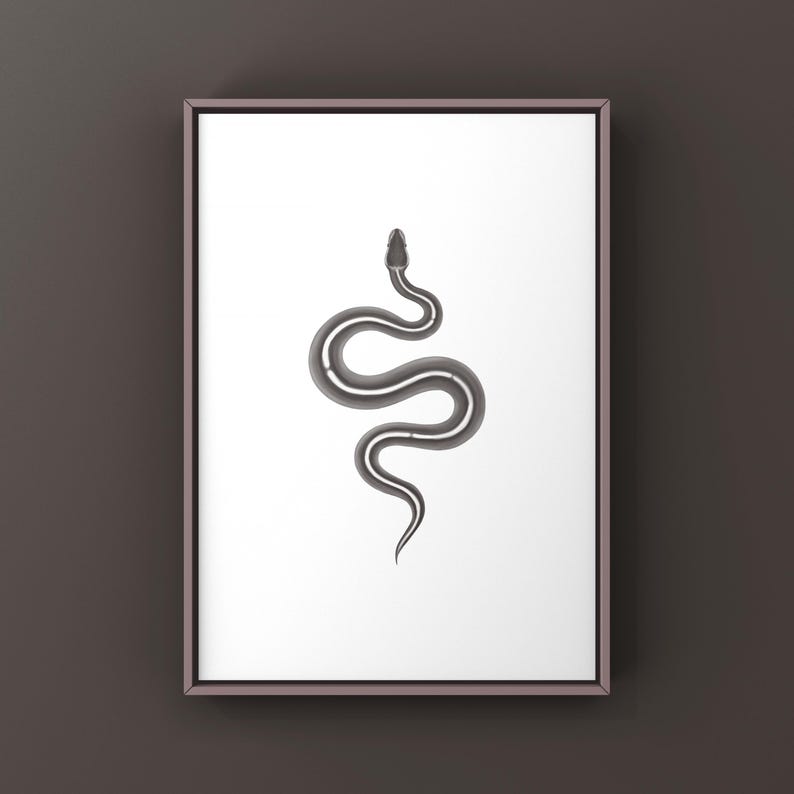 Black Pastel Mystic Potion Ball Python Python regius art print by The Morph Archive, ball python morph illustration by Mingo X.