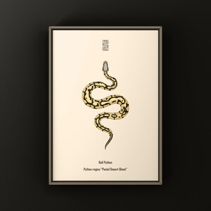 Pastel Desert Ghost Ball Python Python regius art print by The Morph Archive, ball python morph illustration by Mingo X.