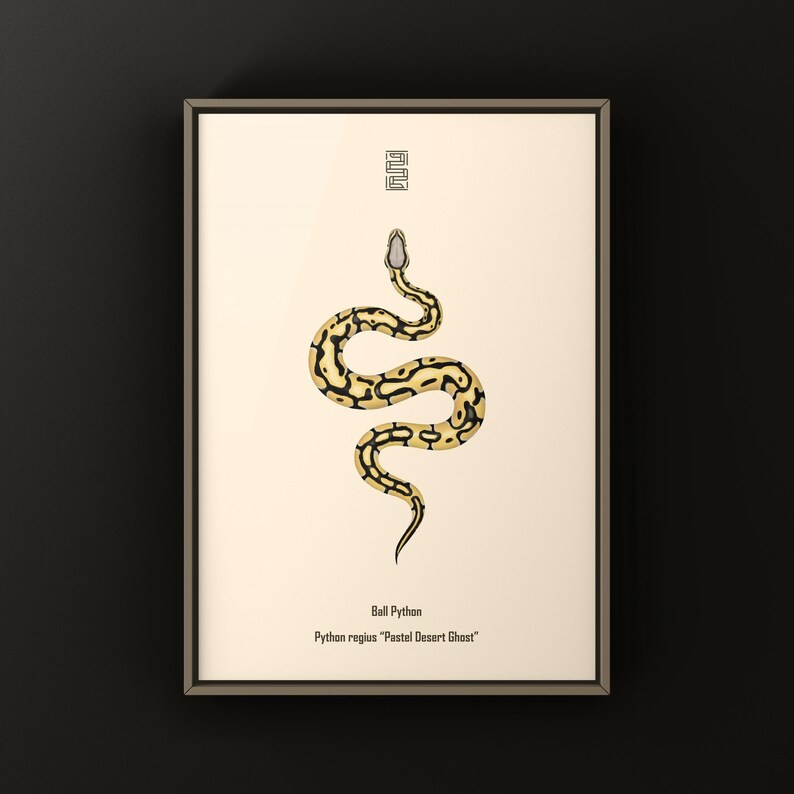 Pastel Desert Ghost Ball Python Python regius art print by The Morph Archive, ball python morph illustration by Mingo X.