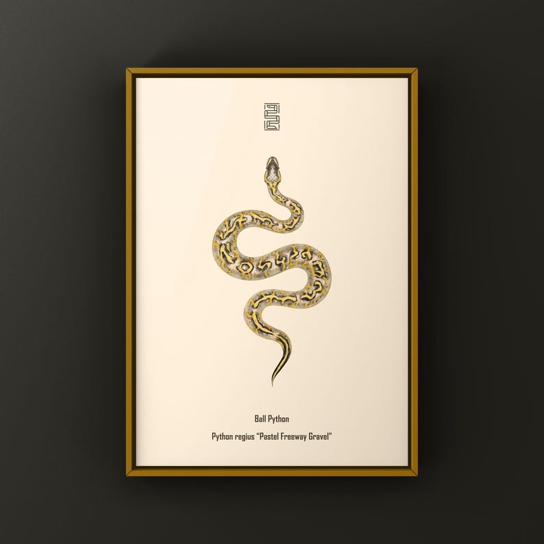 Pastel Freeway Gravel Ball Python Python regius art print by The Morph Archive, multi-gene snake artwork by Mingo X.