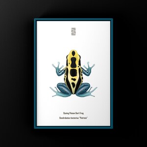 Patricia Dyeing Poison Dart Frog (Dendrobates tinctorius) Art Print, Biological Illustration, Snake Wall Decor