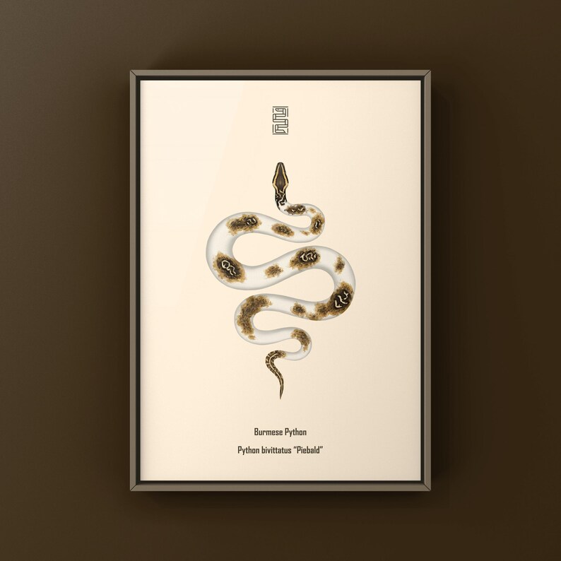 Piebald Burmese Python Python bivittatus art print by The Morph Archive, piebald snake artwork by Mingo X.