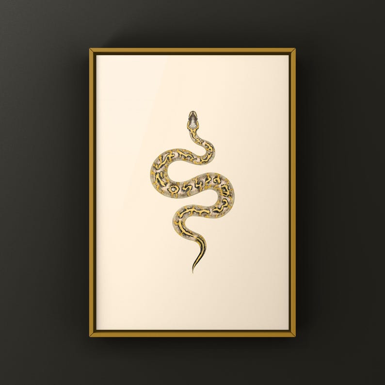 Pastel Freeway Gravel Ball Python Python regius art print by The Morph Archive, multi-gene snake artwork by Mingo X.