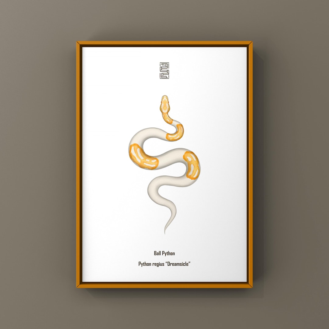 Dreamsicle Ball Python Art Print, Biological Illustration, Snake Wall ...