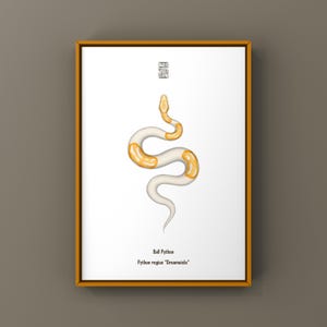 May include: A framed print showing a stylized illustration of a Ball Python snake. The snake is white with orange markings. The print includes the text "Ball Python" and "Python regius 'Dreamsicle'" in a minimalist design.