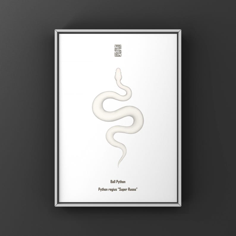 Super Russo Ball Python Python regius art print by The Morph Archive, leucistic snake artwork by Mingo X.