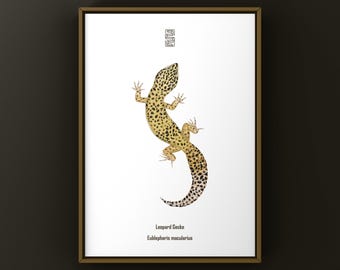 Gekon lamparci (Eublepharis macularius) – wydruk artystyczny, ilustracja biologiczna, dekoracja ścienna z wężem