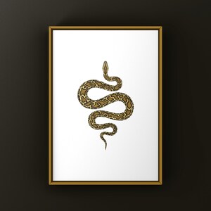 Burmese Python Python bivittatus art print by The Morph Archive, large snake artwork by Mingo X.