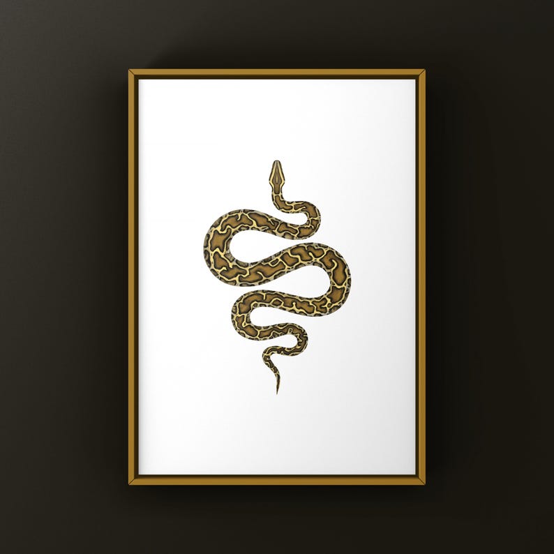 Burmese Python Python bivittatus art print by The Morph Archive, large snake artwork by Mingo X.