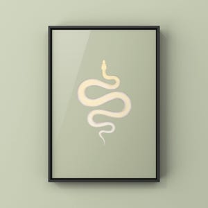 Ivory Burmese Python Python bivittatus art print by The Morph Archive, soft ivory-toned python artwork.