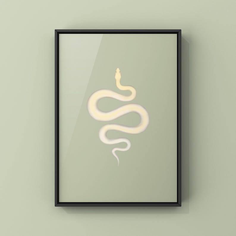 Ivory Burmese Python Python bivittatus art print by The Morph Archive, soft ivory-toned python artwork.