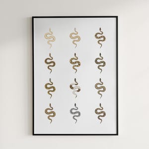 Ball Python poster series 1 Python regius morph collection art print by The Morph Archive, snake artwork by Mingo X.