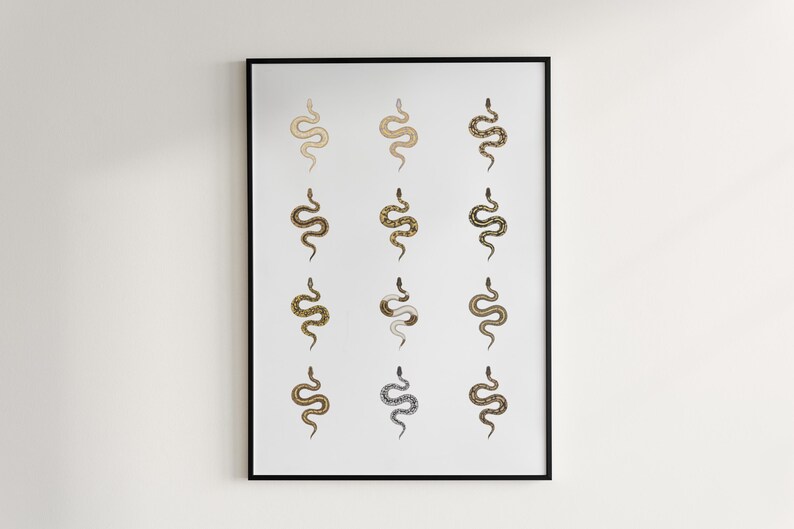 Ball Python poster series 1 Python regius morph collection art print by The Morph Archive, snake artwork by Mingo X.