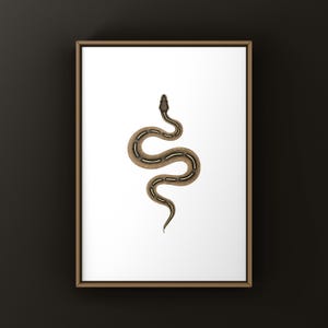 Freeway Ball Python Python regius art print by The Morph Archive, ball python morph illustration by Mingo X.