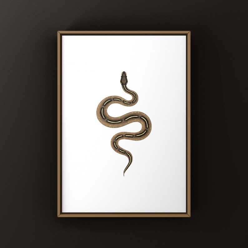 Freeway Ball Python Python regius art print by The Morph Archive, ball python morph illustration by Mingo X.