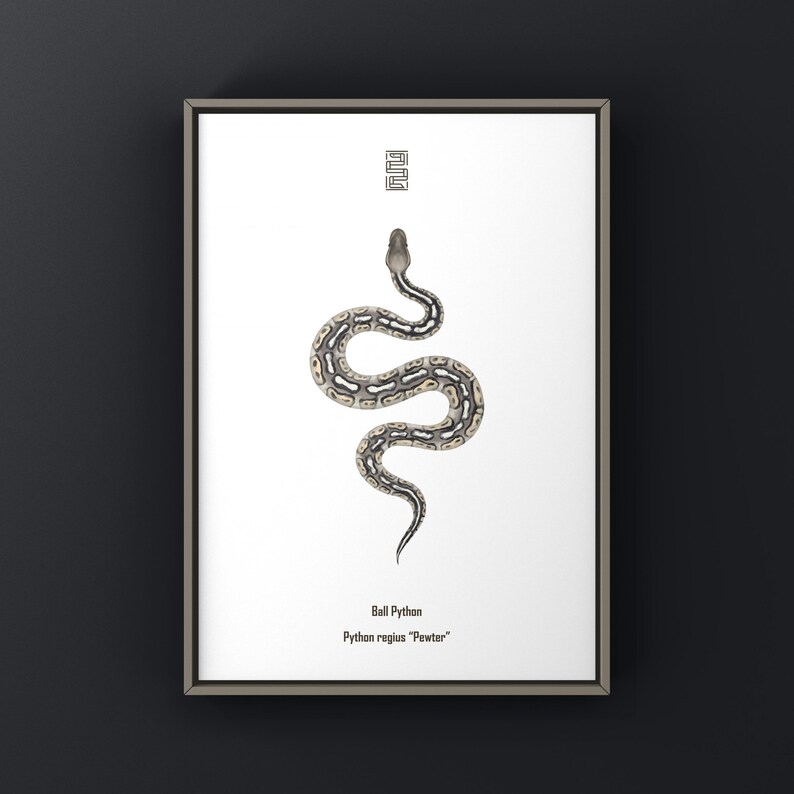 Pewter Ball Python Python regius art print by The Morph Archive, snake morph artwork by Mingo X.