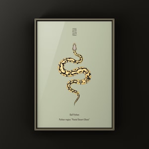 Pastel Desert Ghost Ball Python Python regius art print by The Morph Archive, ball python morph illustration by Mingo X.