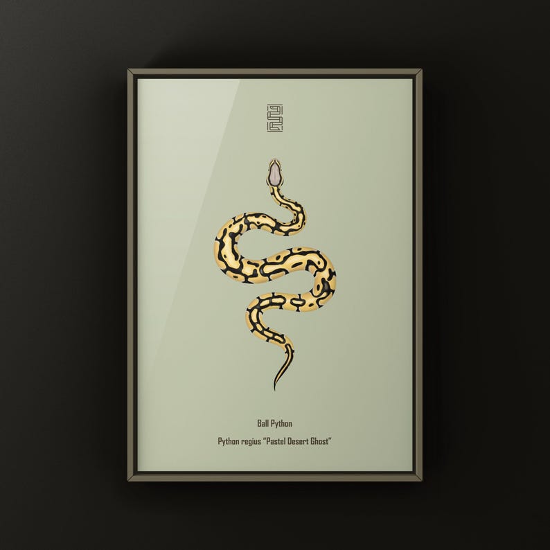 Pastel Desert Ghost Ball Python Python regius art print by The Morph Archive, ball python morph illustration by Mingo X.