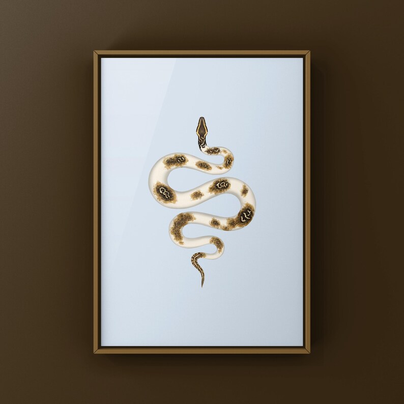 Piebald Burmese Python Python bivittatus art print by The Morph Archive, piebald snake artwork by Mingo X.