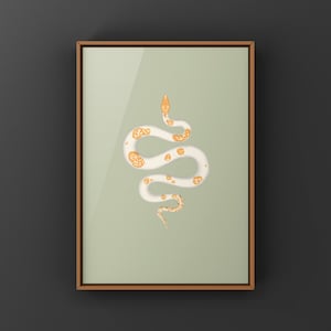 Albino Pied Burmese Python Python bivittatus art print by The Morph Archive, python illustration by Mingo X.