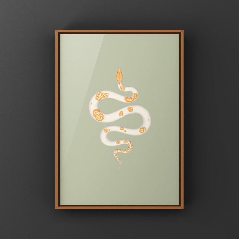 Albino Pied Burmese Python Python bivittatus art print by The Morph Archive, python illustration by Mingo X.