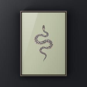 Pewter Ball Python Python regius art print by The Morph Archive, snake morph artwork by Mingo X.