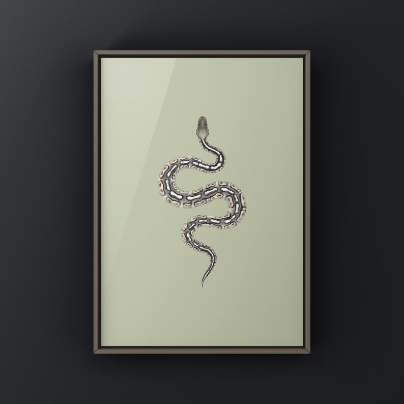 Pewter Ball Python Python regius art print by The Morph Archive, snake morph artwork by Mingo X.