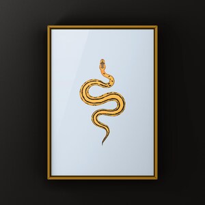 Desert Ghost G-stripe Ball Python Python regius art print by The Morph Archive, ball python morph illustration by Mingo X.