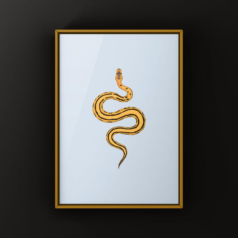 Desert Ghost G-stripe Ball Python Python regius art print by The Morph Archive, ball python morph illustration by Mingo X.