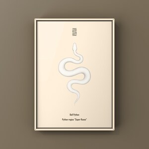 Super Russo Ball Python Python regius art print by The Morph Archive, leucistic snake artwork by Mingo X.