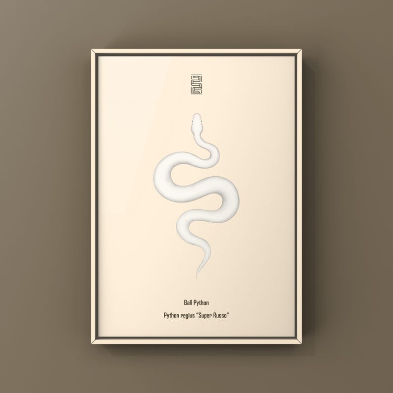 Super Russo Ball Python Python regius art print by The Morph Archive, leucistic snake artwork by Mingo X.