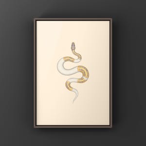 Banana Pied Ball Python Python regius art print by The Morph Archive, colorful piebald snake artwork by Mingo X.