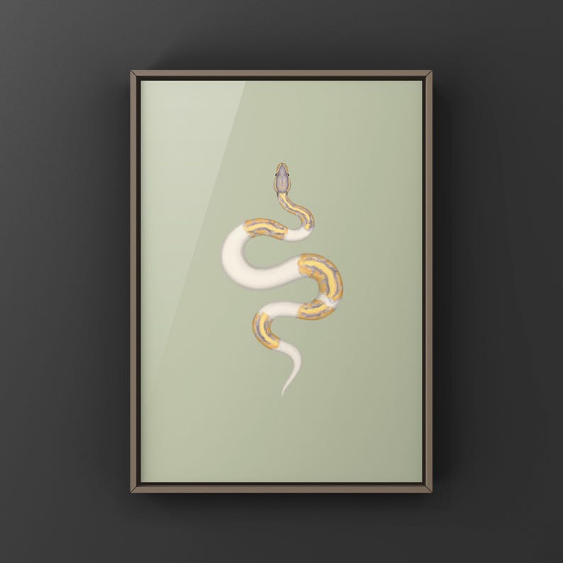 Banana Pied Ball Python Python regius art print by The Morph Archive, colorful piebald snake artwork by Mingo X.