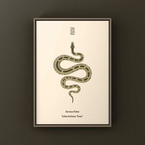 Green Burmese Python Python bivittatus art print by The Morph Archive, green snake artwork by Mingo X.