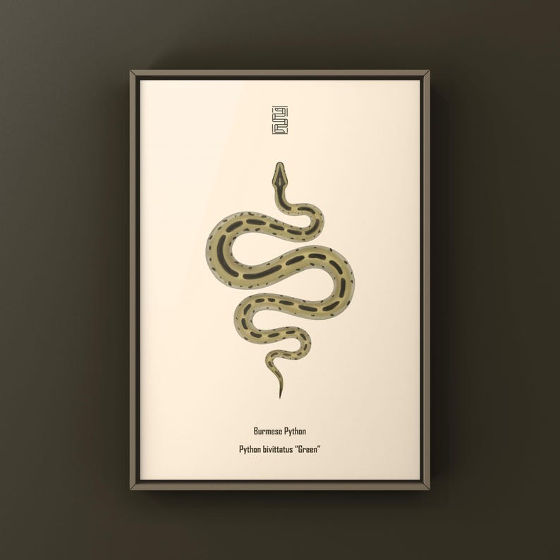 Green Burmese Python Python bivittatus art print by The Morph Archive, green snake artwork by Mingo X.