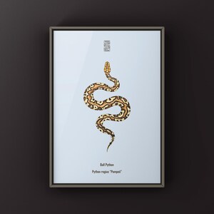 Pompeii Ball Python Python regius art print by The Morph Archive, detailed ball python morph artwork.