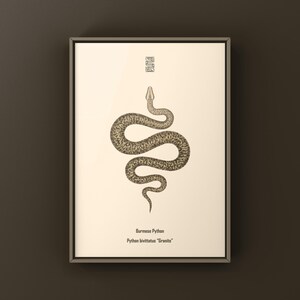 Granite Burmese Python Python bivittatus art print by The Morph Archive, python illustration by Mingo X.