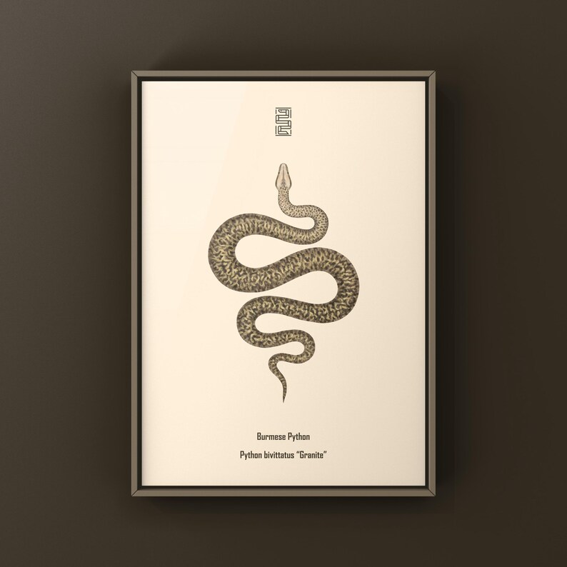 Granite Burmese Python Python bivittatus art print by The Morph Archive, python illustration by Mingo X.