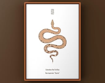 Scoria Colombiaanse roodstaartboa kunstprint, Boa Imperator illustratie, donkere reptielenkleuring