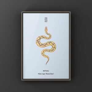 Banana Clown Ball Python Python regius art print by The Morph Archive, designer snake artwork by Mingo X.