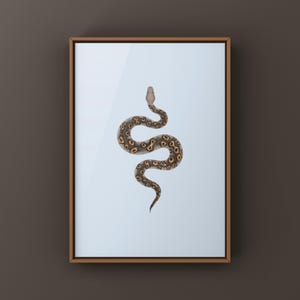 Kraken Ball Python Python regius art print by The Morph Archive, detailed morph python artwork.
