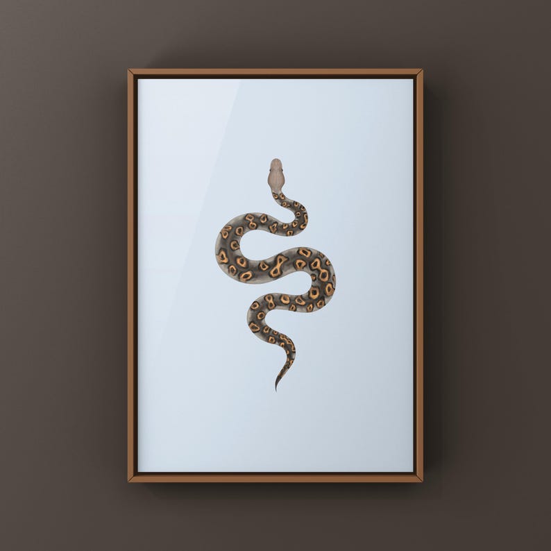 Kraken Ball Python Python regius art print by The Morph Archive, detailed morph python artwork.