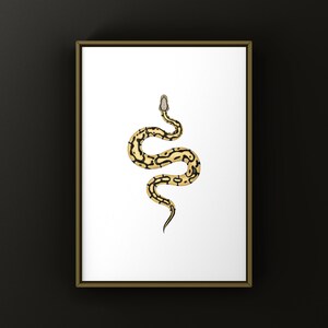 Pastel Desert Ghost Ball Python Python regius art print by The Morph Archive, ball python morph illustration by Mingo X.