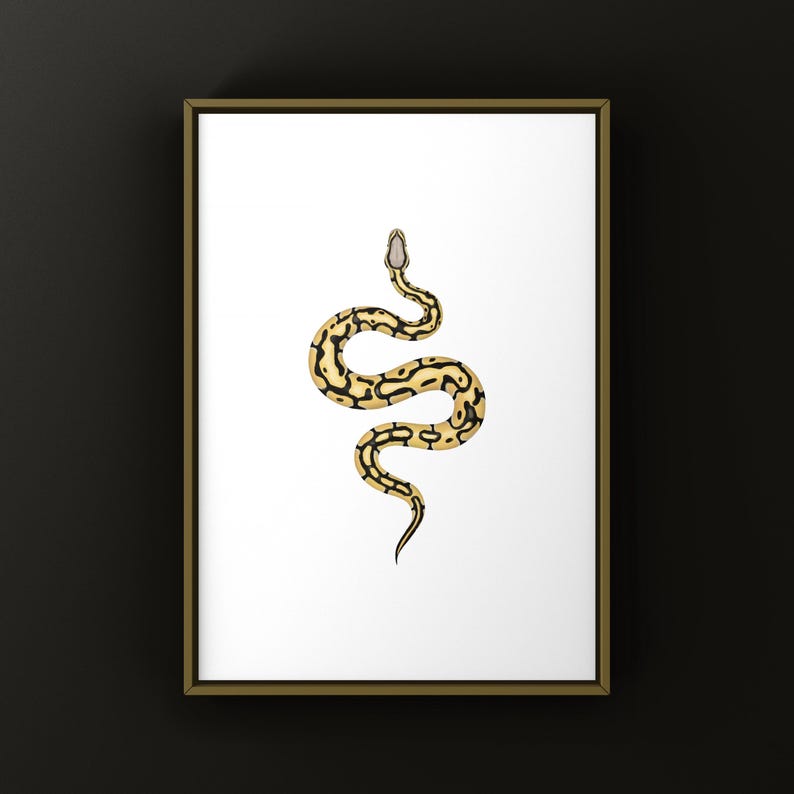 Pastel Desert Ghost Ball Python Python regius art print by The Morph Archive, ball python morph illustration by Mingo X.