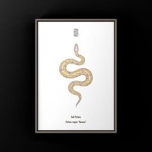 May include: A framed art print showing a yellow and grey ball python illustration on a white background. The print includes the text "Ball Python" and "Python regius 'Banana'". The artwork has a minimalist style with a black frame.