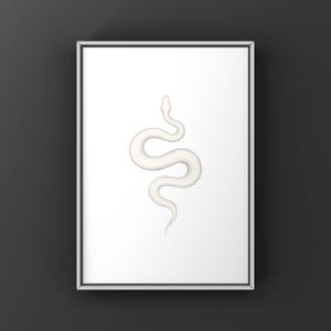 Super Russo Ball Python Python regius art print by The Morph Archive, leucistic snake artwork by Mingo X.