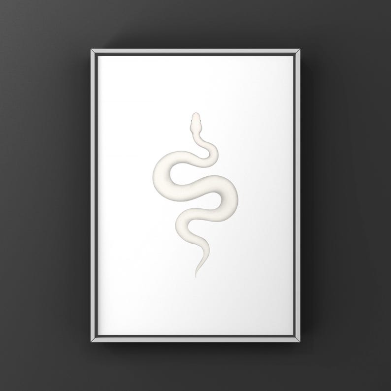 Super Russo Ball Python Python regius art print by The Morph Archive, leucistic snake artwork by Mingo X.