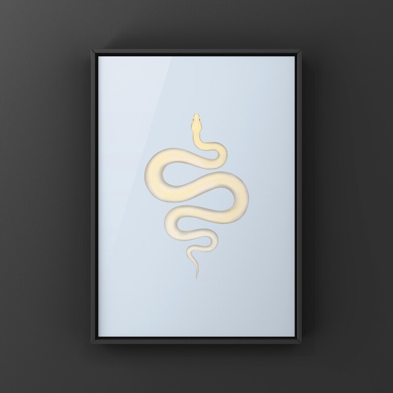 Ivory Burmese Python Python bivittatus art print by The Morph Archive, soft ivory-toned python artwork.