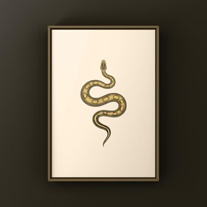 Champagne Ball Python Python regius art print by The Morph Archive, ball python morph illustration by Mingo X.